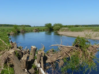 Leine Weitläufiger Fluss umgeben von grünen Wiesen und Bäumen unter einem strahlend blauen Himmel.A wide river surrounded by green meadows and trees under a bright blue sky.En bred flod omgivet af grønne enge og træer under en lyseblå himmel.Een brede rivier omringd door groene weiden en bomen onder een helderblauwe hemel.