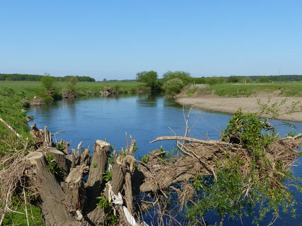 Een brede rivier omringd door groene weiden en bomen onder een helderblauwe hemel.