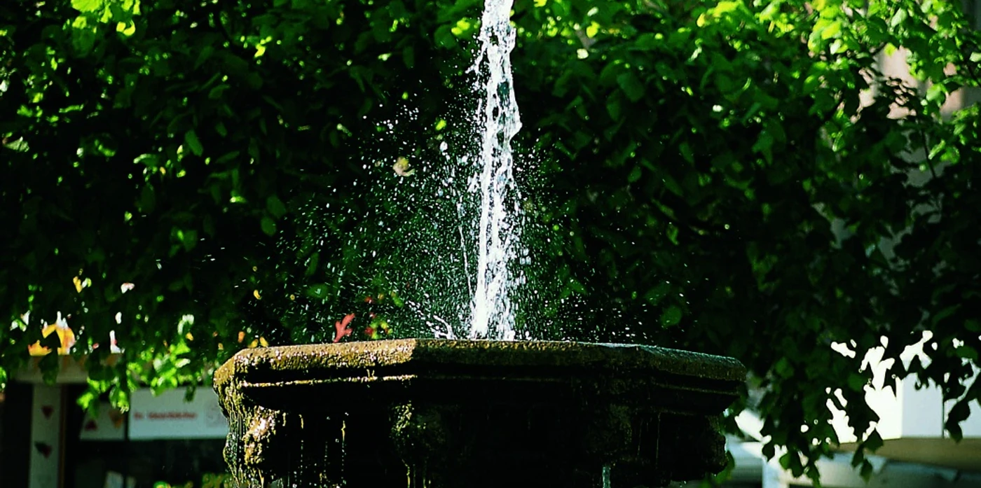 Der Kump auf dem MArktplatz in Steinheim Brunnen mit sprudelndem Wasser auf dem Markt in Steinheim, umgeben von grünen Bäumen im Hintergrund.