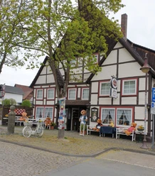 Teddy- und Puppenmuseum Fachwerkhaus mit bunten Puppen und Teddybären, umgeben von Bäumen und einer ruhigen Straße.