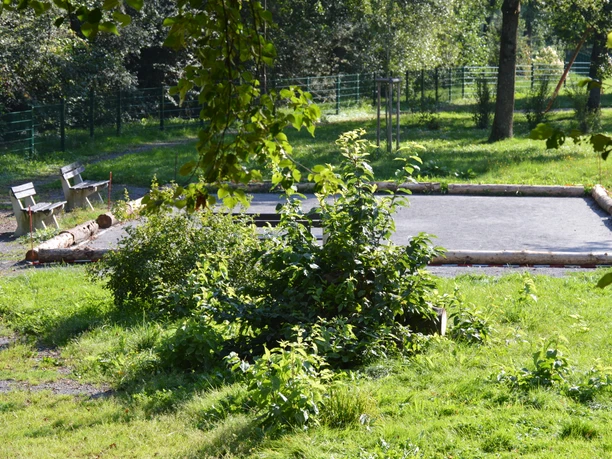 Mehrgenerationenpark Schönenberg.jpg Ein idyllischer Park mit einem kleinen Sportplatz aus schwarzem Asphalt, umgeben von Bäumen.