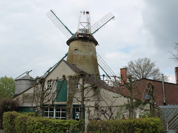 Enking´s Mühle in Emsbüren - Blick auf Café und Mühle ©Emsland Tourismus GmbH, Martina Alfers.JPG Historische Windmühle mit angeschlossenem Café und begrüntem Vorhof unter leicht bewölktem Himmel.