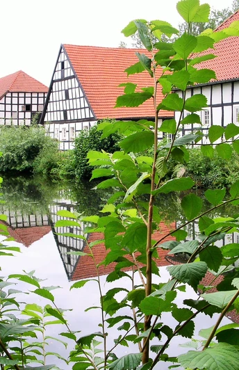 Gut Arenshorst Gut Arenshorst – ein Rittersitz aus dem 18. Jahrhundert