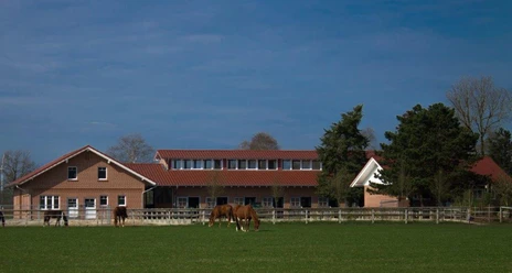 Hof Brentano Bawinkel Backsteinbau mit rotem Dach, umgeben von grüner Weide, auf der mehrere Pferde grasen