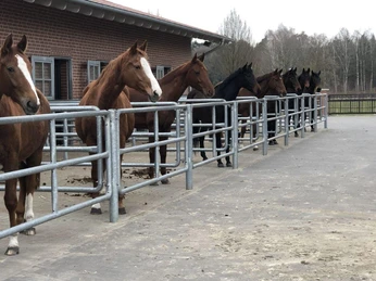 Hof Brentano Bawinkel