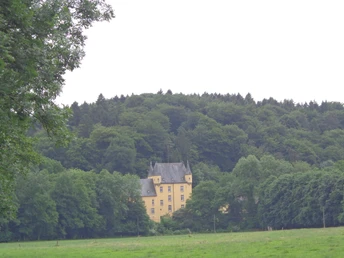 Schloss Strauweiler.JPG Gelbes Schloss, umgeben von dichtem Laubwald, sanfter Hügel im Hintergrund, friedliche Landschaft.