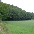 Wandergruppe auf dem Burgherrenweg.JPG Gruppe von Wanderern auf schmalem Pfad entlang grüner Wiese, umgeben von üppigen Wäldern.