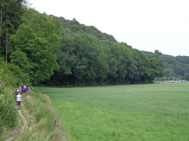 Wandergruppe auf dem Burgherrenweg.JPG Gruppe von Wanderern auf schmalem Pfad entlang grüner Wiese, umgeben von üppigen Wäldern.