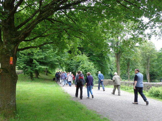 Wandergruppe auf dem Burgherrenweg.JPG Gruppe von Spaziergängern genießt einen bewaldeten, geschotterten Pfad an einem sonnigen Tag.