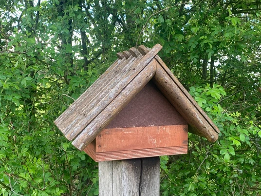 Stemephaus Drögenberg copyright Karina (5).JPEG