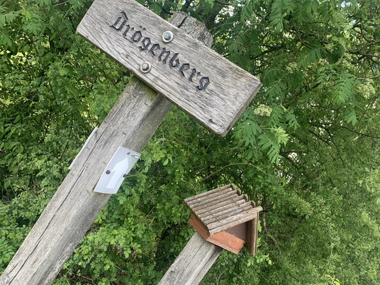 Stemephaus Drögenberg copyright Karina (4).JPEG