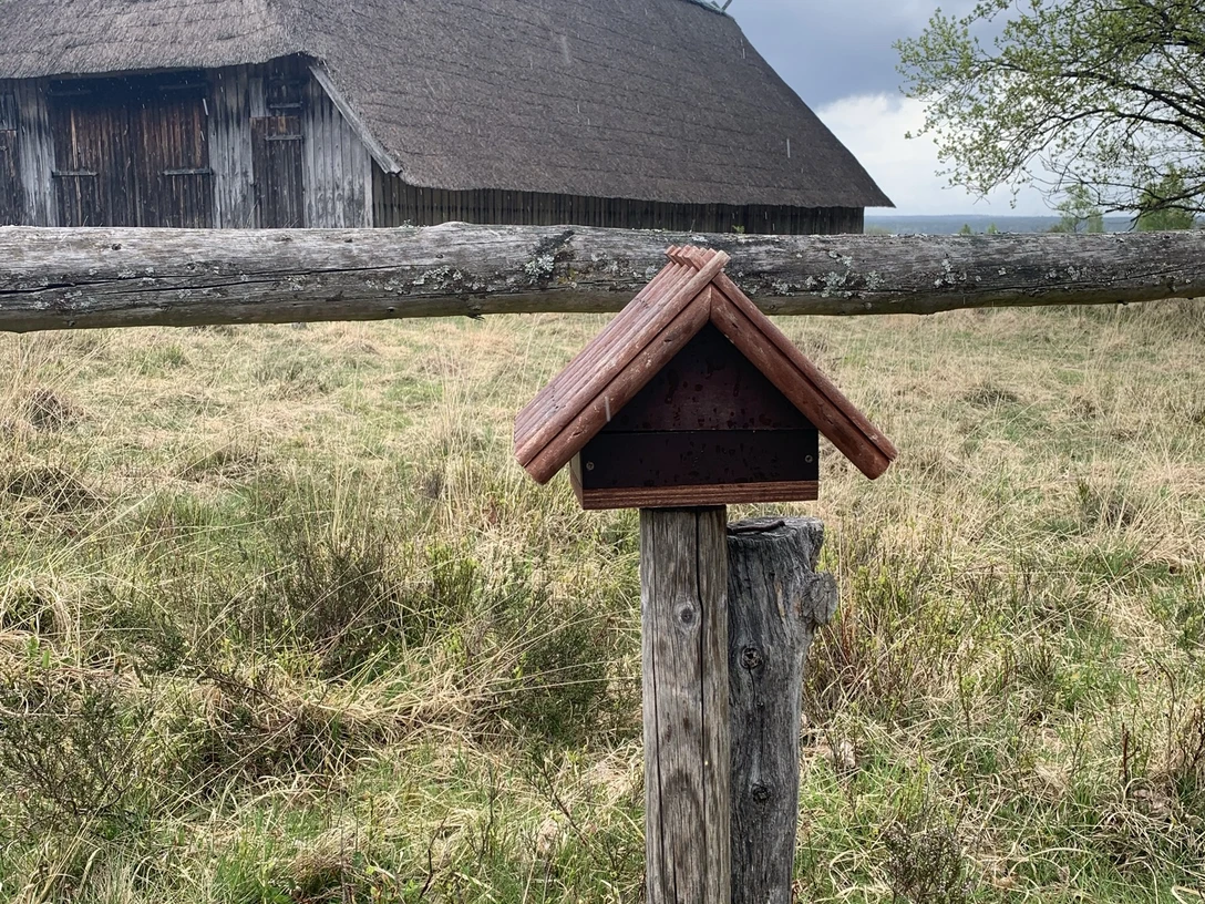 Stemephaus Pastor Bode Weg copyright Karina (1).JPEG