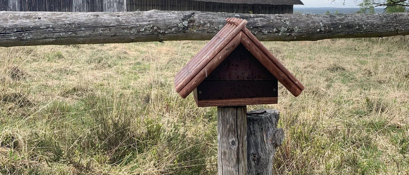 Stemephaus Pastor Bode Weg copyright Karina (1).JPEG