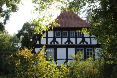 Altes Fachwerkgebäude mit rotem Ziegeldach, umgeben von Bäumen, künstlerisch eingefangen.