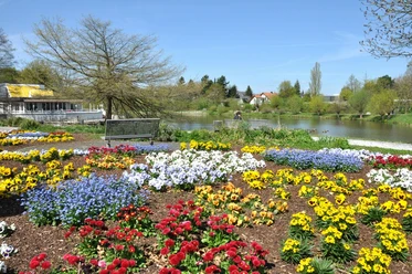 Am Emssee in Wiedenbrück Blühende Beete in lebendigen Farben vor einem Weiher, umgeben von Bäumen unter blauem Himmel.