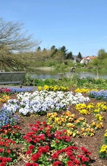 Am Emssee in Wiedenbrück Blühende Beete in lebendigen Farben vor einem Weiher, umgeben von Bäumen unter blauem Himmel.