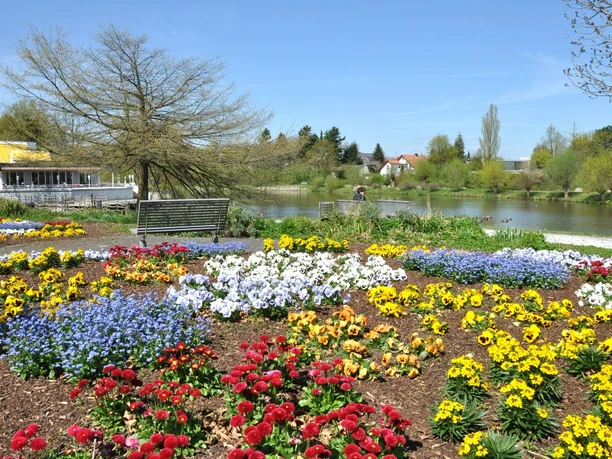 Am Emssee in Wiedenbrück Blühende Beete in lebendigen Farben vor einem Weiher, umgeben von Bäumen unter blauem Himmel.
