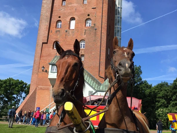 Wattwagenfahrten Kai Stelling