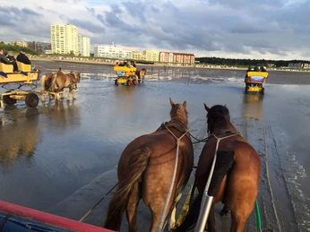 Wattwagenfahrten Kai Stelling