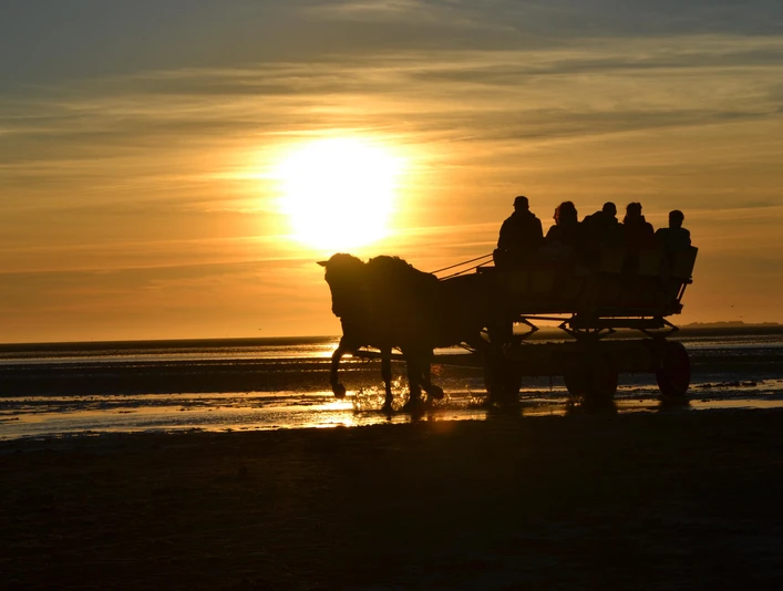 Wattwagenfahrten Kai Stelling