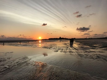 Wattwagenfahrten Kai Stelling