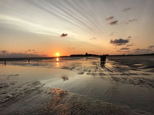 Wattwagenfahrten Kai Stelling