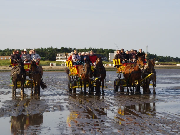 Wattwagenfahrten Kai Stelling