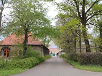 Rittergut Schlüsselburg Allee mit Bäumen führt auf ein historisches Gutshofgelände mit Gebäuden und Garten zu.