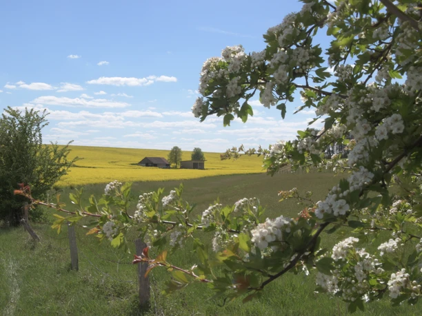 Paderborner Land | Sommer