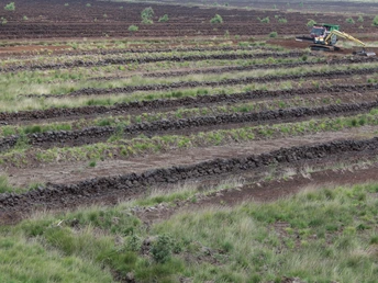 Uchter Moor Das Uchter Moor präsentiert eine abgeerntete Torf-Landschaft mit einem Bagger in der Ferne.The Uchter Moor presents a harvested peat landscape with an excavator in the distance.Uchter Moor viser et høstet tørvelandskab med en gravemaskine i det fjerne.Het Uchter Moor toont een geoogst veenlandschap met een graafmachine in de verte.