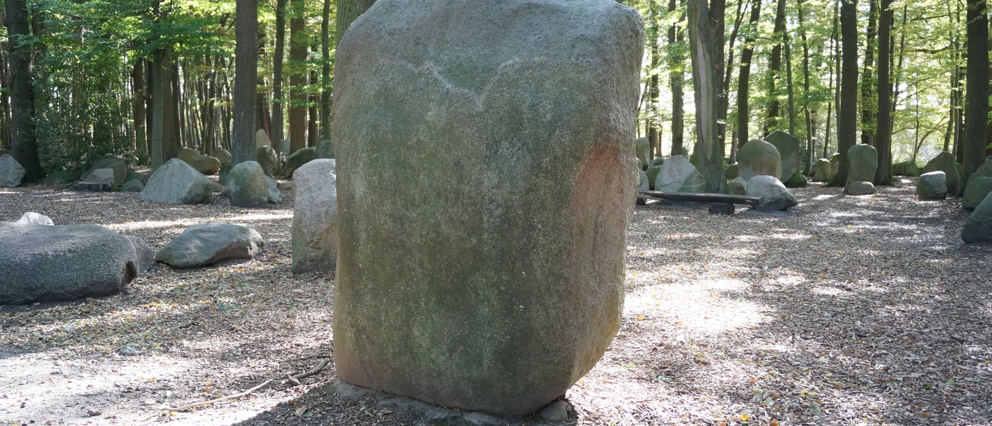 DSC06197.JPG Ein großer Findling steht im von Buchen gesäumten Boden eines lichten Waldes, umgeben von weiteren Steinen.