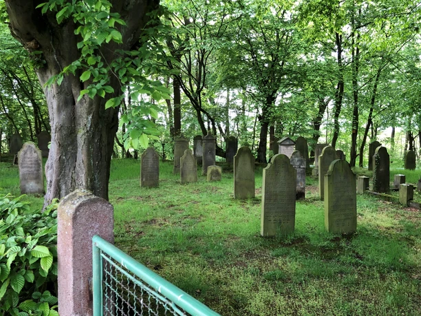 Jüdischer Friedhof Heimsen Historischer jüdischer Friedhof mit verwitterten Grabsteinen im Grünen, umgeben von dichtem Laubwald.