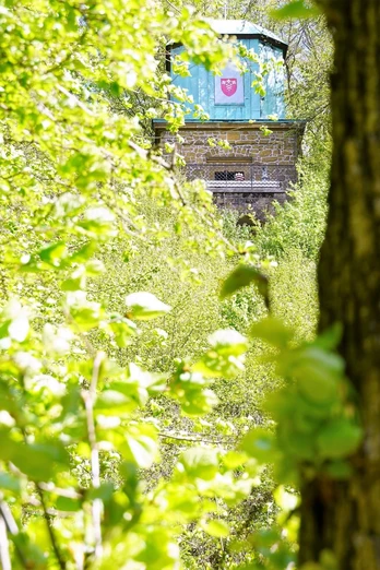 Waldweg mit Schildern führt zur versteckten Haller Kaffeemühle, umgeben von üppigem Frühlingsgrün.
