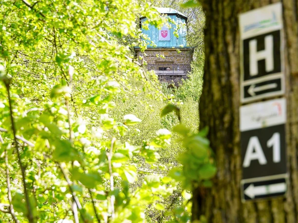 Waldweg mit Schildern führt zur versteckten Haller Kaffeemühle, umgeben von üppigem Frühlingsgrün.