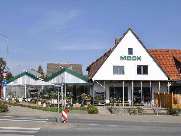 Mock Blumen Mock Blumen Außenansicht