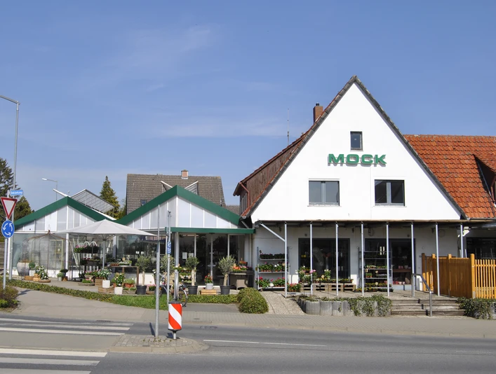 Mock Blumen Mock Blumen Außenansicht