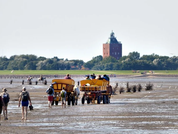 Wattwagenfahrt Neuwerk Werner Fock