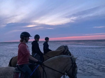 Ausritt im Watt Reiterhof Tote-Hose