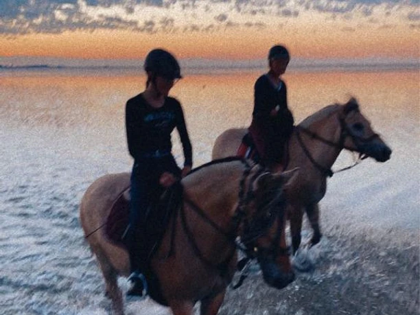 Ausritt Reiterhof Tote-Hose