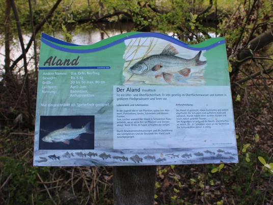 Fischlehrpfad Ihlienworth