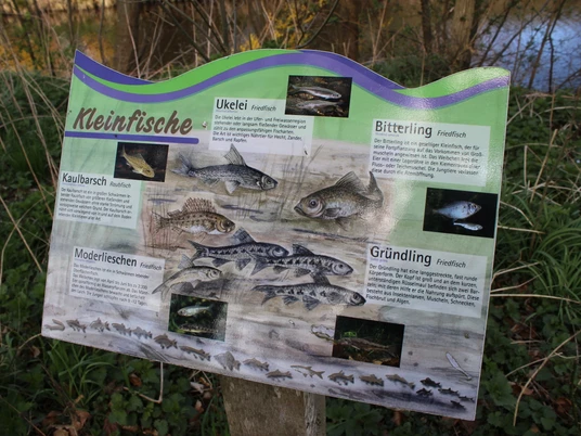 Fischlehrpfad Ihlienworth