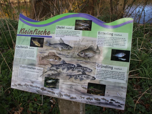 Fischlehrpfad Ihlienworth