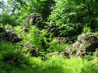 Dicke Steine Moosbewachsene Felsen in einem üppigen, grünen Wald mit dichten Bäumen und strahlendem Sonnenschein.