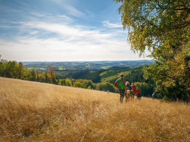 Reichshof-Blockhaus Familie wandert durch eine herbstliche Landschaft mit goldenen Feldern und weitem Himmel in Oberösterreich.