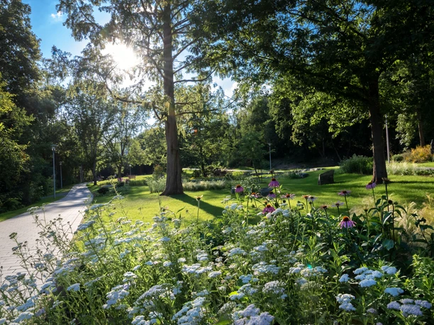 Kurpark in Reichshof-Eckenhagen Ein sonnendurchfluteter Parkweg führt durch üppige, blühende Wiesen und grüne Bäume im Sommer.
