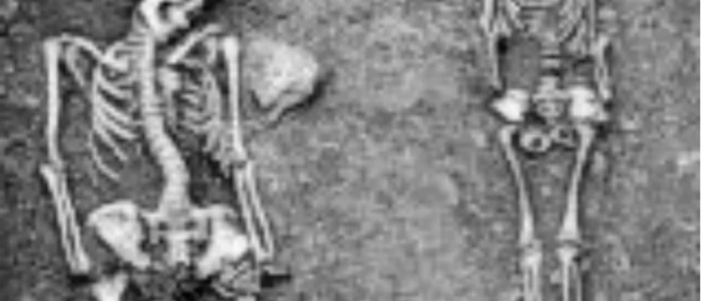 Gräberfeld Werlaburgdorf.jpg