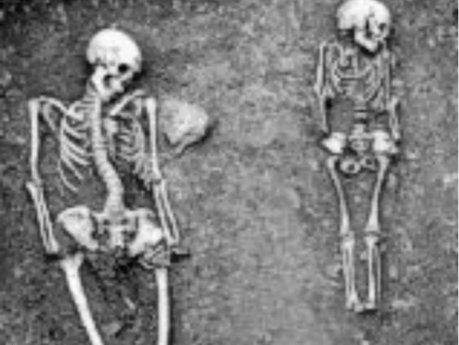 Gräberfeld Werlaburgdorf.jpg