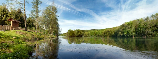 Wiehltalsperre mit Krombacher-Insel Ein idyllischer See umgeben von üppigen grünen Wäldern unter einem strahlend blauen Himmel.