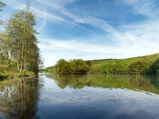 Wiehltalsperre mit Krombacher-Insel Ein idyllischer See umgeben von üppigen grünen Wäldern unter einem strahlend blauen Himmel.