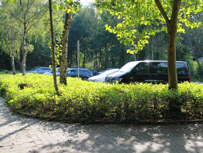 Stellplatz Ferienhausgebiet Andruper Str. (3).JPG